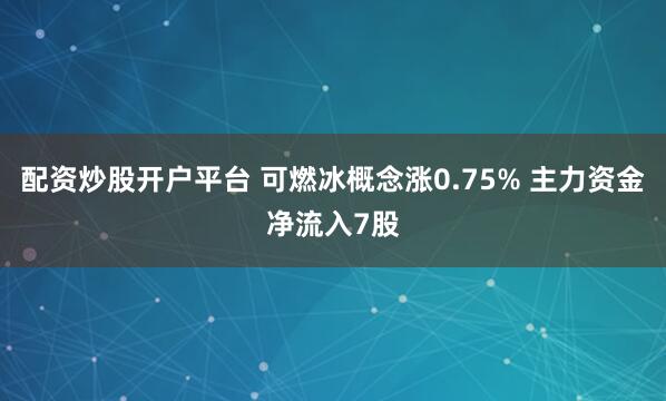 配资炒股开户平台 可燃冰概念涨0.75% 主力资金净流入7股