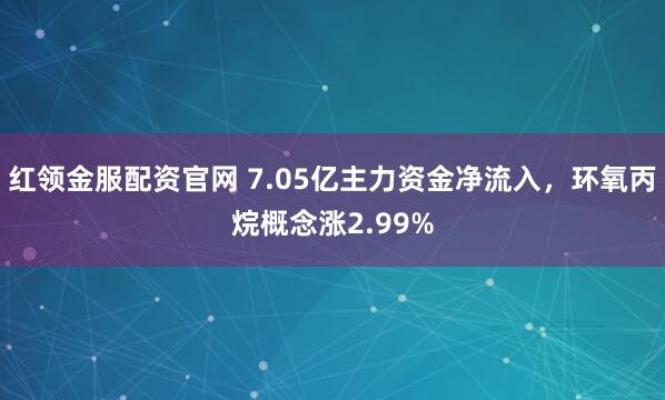 红领金服配资官网 7.05亿主力资金净流入，环氧丙烷概念涨2.99%