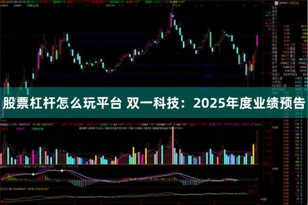 股票杠杆怎么玩平台 双一科技：2025年度业绩预告